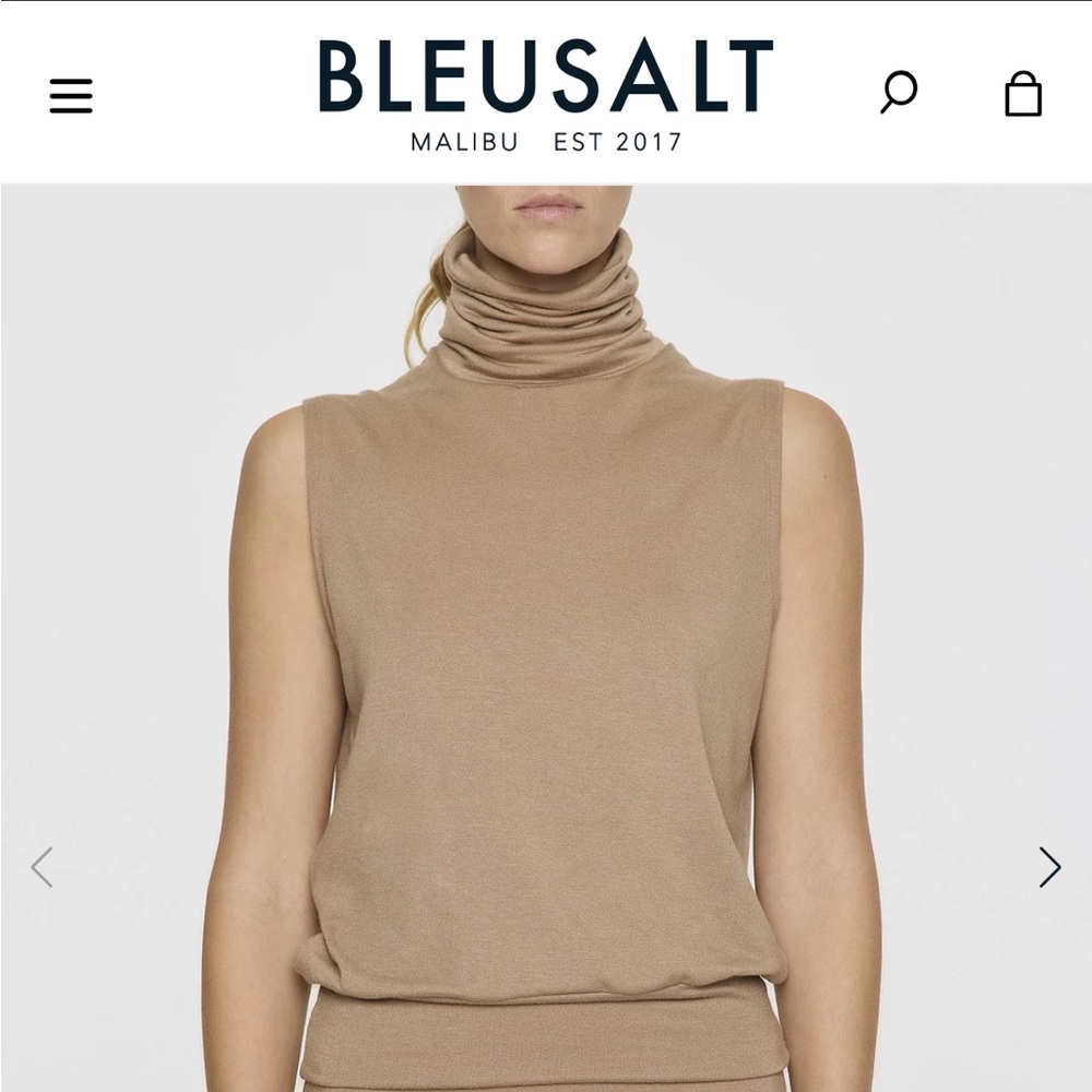 Bleusalt sleeveless turtleneck and a line skirt in camel. Size 0. Brand new!